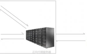 看完这篇还不了解 Nginx，那我就哭了