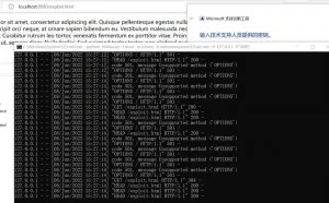 利用Follina漏洞网络攻击的加密流量分析