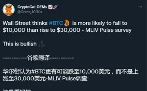 华尔街认为BTC更有可能跌至10000美元 而不是上涨至30000美元
