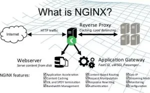 Nginx 极简教程（快速入门）