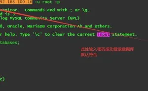 网络安全之等保2.0测评