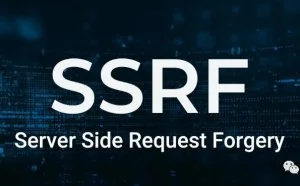 累积超过10万美元的SSRF漏洞挖掘技巧