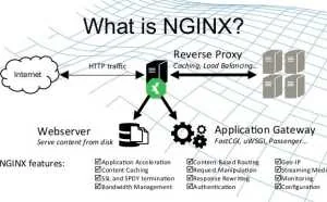 Nginx 极简教程