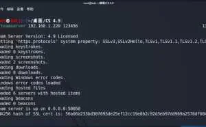 CS木马分离免杀实操(过360，火狐和WindowsDefinder)