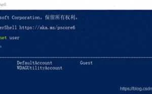 Windows系统入侵排查与应急响应技术