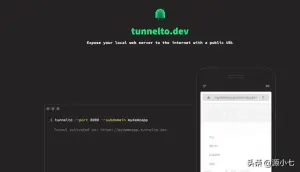 超越Ngrok和FRP的内网穿透神器Tunnelto 让访问内网像公网一样简单 ...