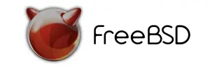 AI用4小时攻破“世界最安全开源系统FreeBSD