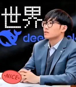 Deepseek之我见 你怎么看？