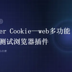 Butter Cookie——web多功能渗透测试浏览器插件