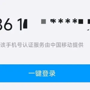 一键登录的致命缺陷：拦截返回包改个phoneNumber，我就登录了你的账号 ...
